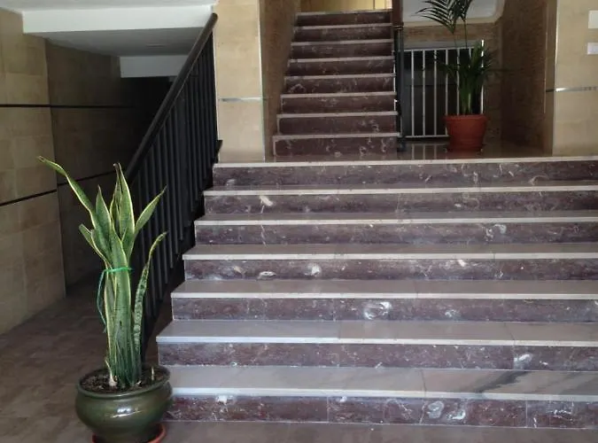 Chez Alison! * ネルハ